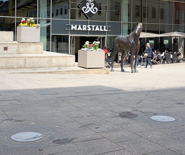 Zu tumultartigen Szenen ist es am Samstag im Marstall in Ludwigsburg gekommen.