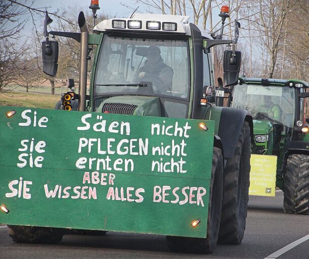 Rollen wieder aus Protest: Landwirte mit ihren Traktoren. Archivfoto: Alfred Drossel
