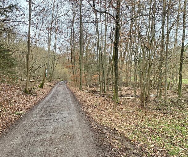 Der Radweg war gesperrt. Foto: privat