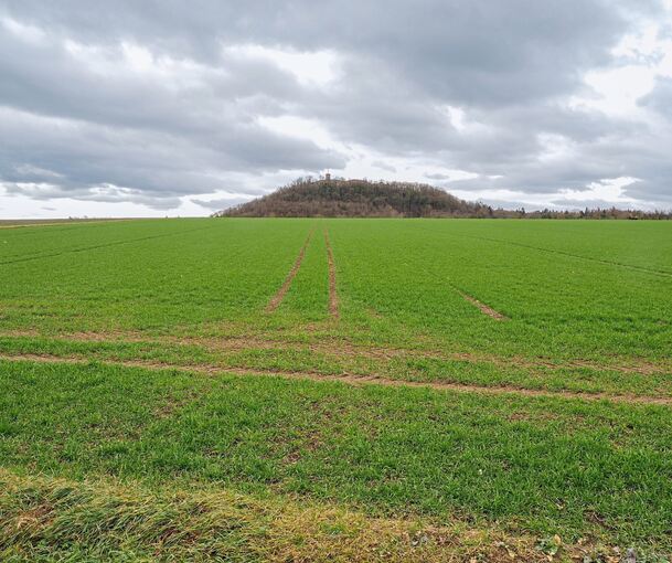 Die Bürgerinitiative GGLTA wehrt sich dagegen, dass auf dem Schanzacker eine Landeserstaufnahmeeinrichtung gebaut wird.