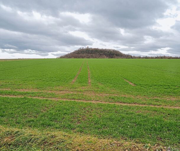 Blick über den Schanzacker Richtung Hohenasperg.