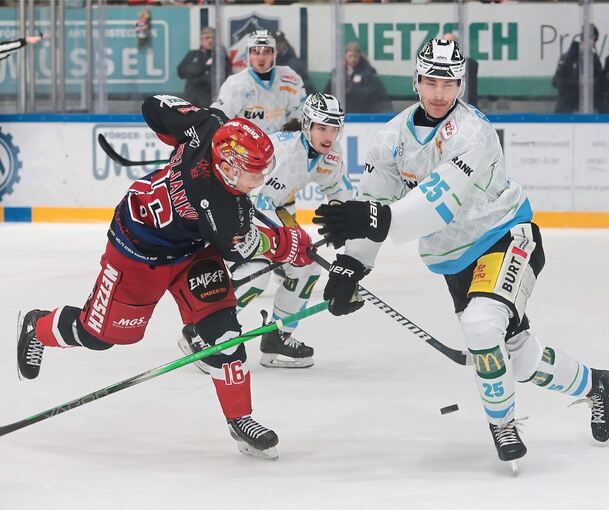 Steelers-Verteidiger Dennis Dietmann (rechts) stellt sich dem Finnen Rasmus Heljanko von den Selber Wölfen entgegen. Foto: Mario Wiedel