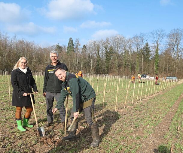 Hier wachsen 4000 Eichenbäumchen. Bürgermeisterin Tatjana Scheerle, Ralf Zellin vom Landratsamt und Revierförster Tim Köstler. Im Hintergrund die Mitarbeiter der Forstlichen Versuchs- und Forschungsanstalt. Foto: Ramona Theiss