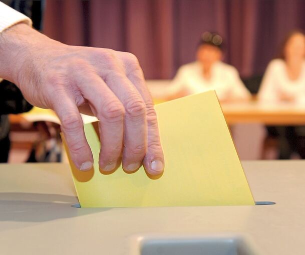 „Die Partei“ ist im Hemminger Gemeinderat nach den Kommunalwahlen im Juni Geschichte. Archivfoto: dpa/Bernd Weissbrod