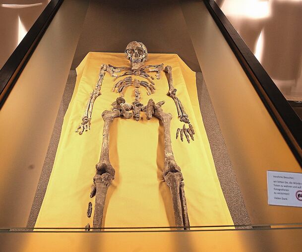 Die Gebeine des Hochdorfer Keltenfürsten werden jetzt in einem würdevolleren Ambiente präsentiert. Fotos: Alfred Drossel