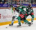 Bietigheimer Hiobsbotschaft: Steelers-Topscorer Jack Doremus (links), hier bedrängt von Starbulls-Matchwinner Reid Duke (Mitte) und Sebastian Streu, hat sich am Sonntag in Rosenheim am Oberkörper verletzt. Foto: Ludwig Schirmer/p