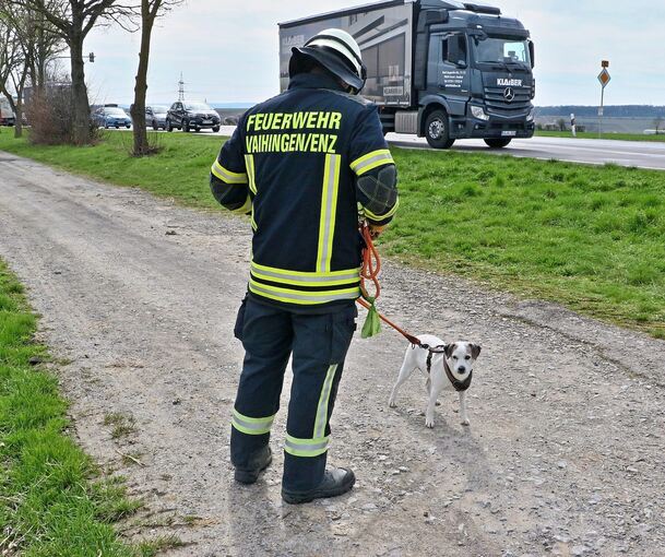 Mit dem anderen Hund konnte ein Feuerwehrmann Gassi gehen. Foto: KS-Images.de/Andreas Rometsch
