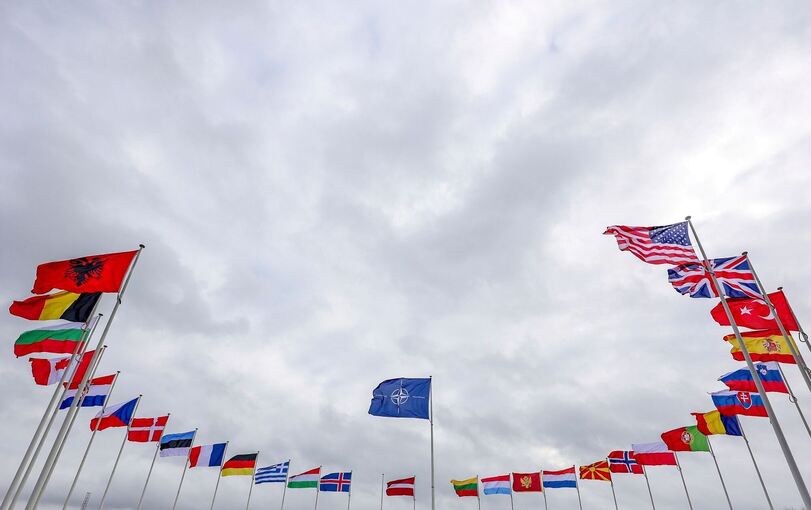 Nato Nato