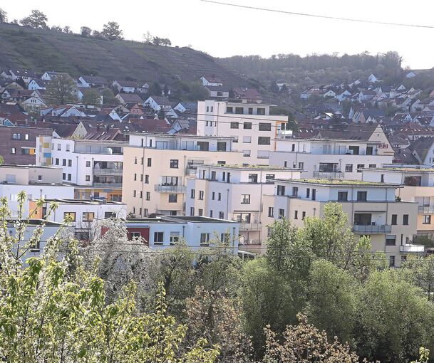 Das Neubaugebiet Neckarlust sorgt in Gemmrigheim für jede Menge Neubürger.