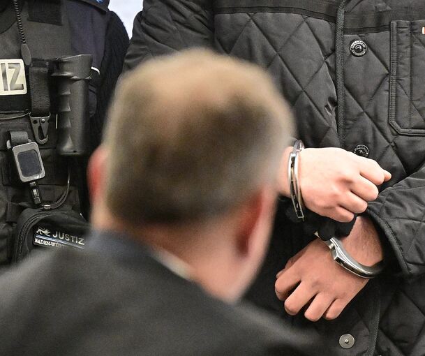 Der Fahrer des Schützen war bereits wenige Stunden nach der Tat inhaftiert worden, sein nach Serbien geflohener Cousin nach dessen Rückkehr etliche Tage später.