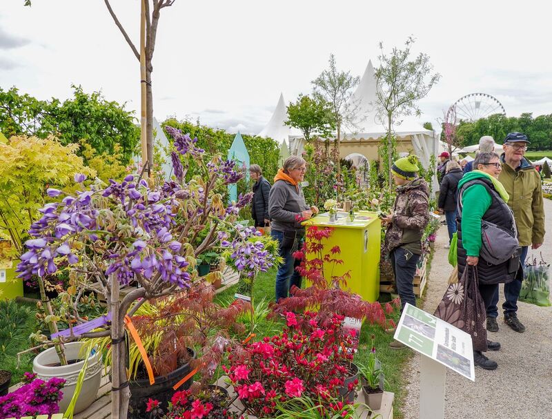 130 Aussteller präsentieren sich im Blühenden Barock.