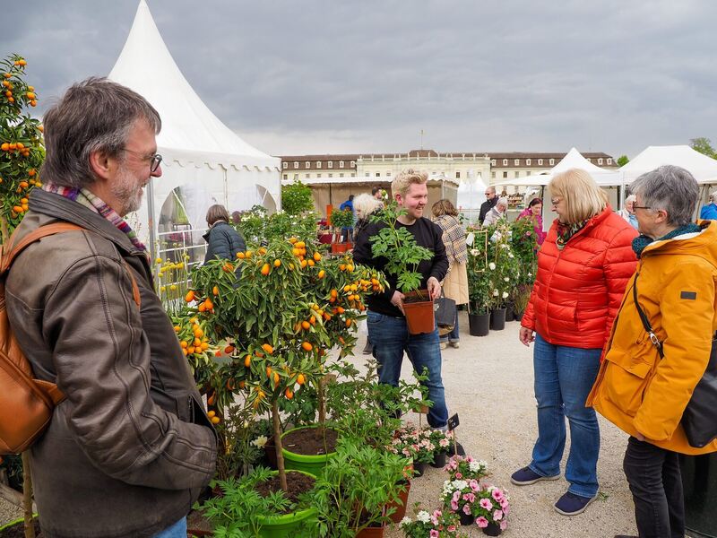 Beratung beim Pflanzenkauf.