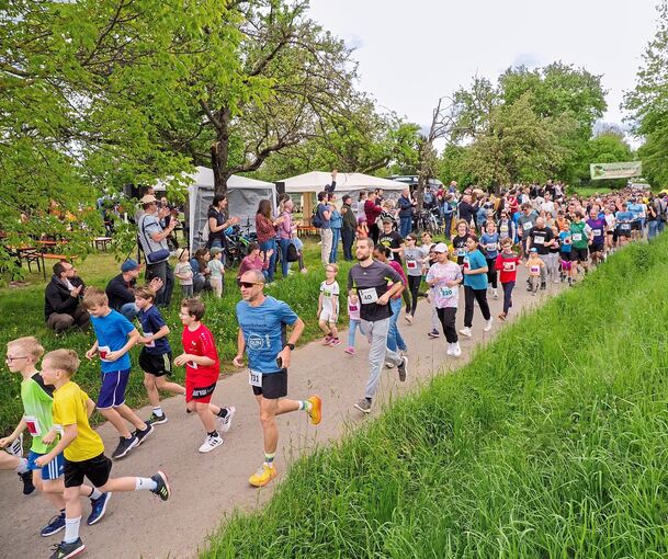 Klein und Groß sind beim Strombergstraßenlauf dabei.