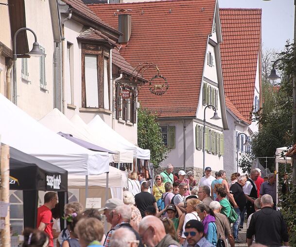 Andrang beim Hessigheimer Kunstmarkt.