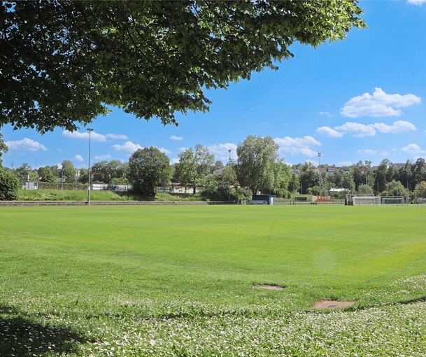 Platz zwei im Wasenstadion wurde für die belgischen Fußballstars neu angelegt. Ab 13. Juni werden sie darauf trainieren.
