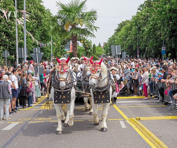 Prunkvoll und farbenfroh ist der Festumzug des Ludwigsburger Pferdemarkts durch die Innenstadt.