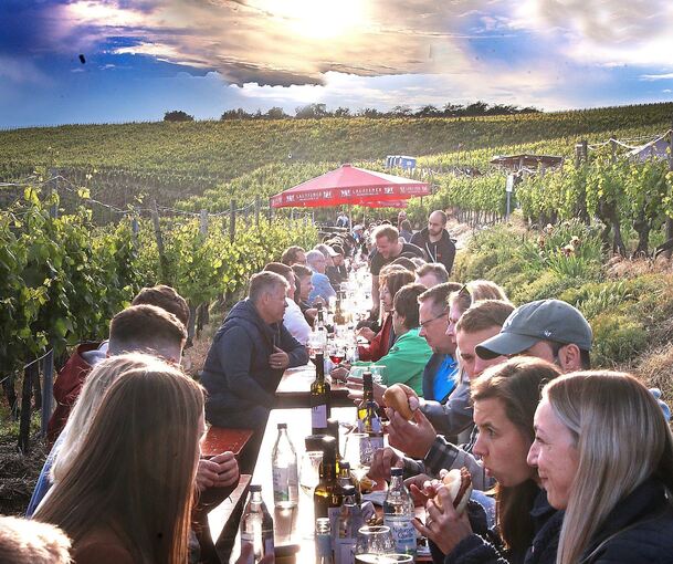 Fröhliches Weinfest mitten in den Weinbergen.