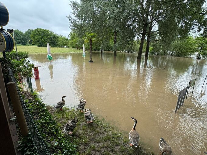 Ein Paradies für Wasservögel, ein Alptraum für den Biergarten: Am Samstag stieg das Wasser unaufhaltsam. Foto: Orhan Özbagci/p
