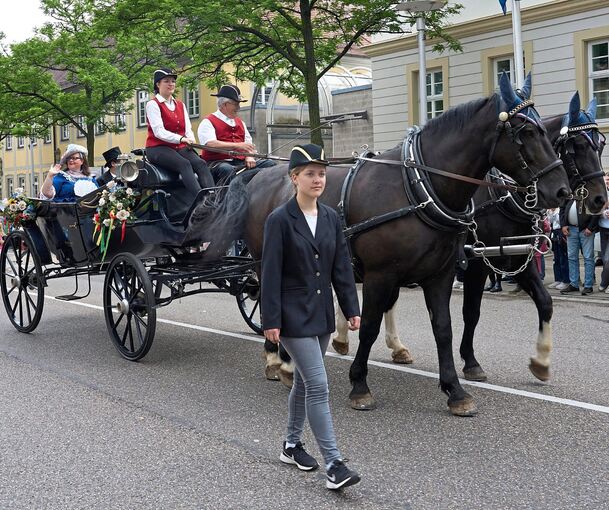 Der Festumzug durch die Innenstadt ist der Höhepunkt des Pferdemarktes. Im nächsten Jahr wird es dieses Event wohl nicht geben.