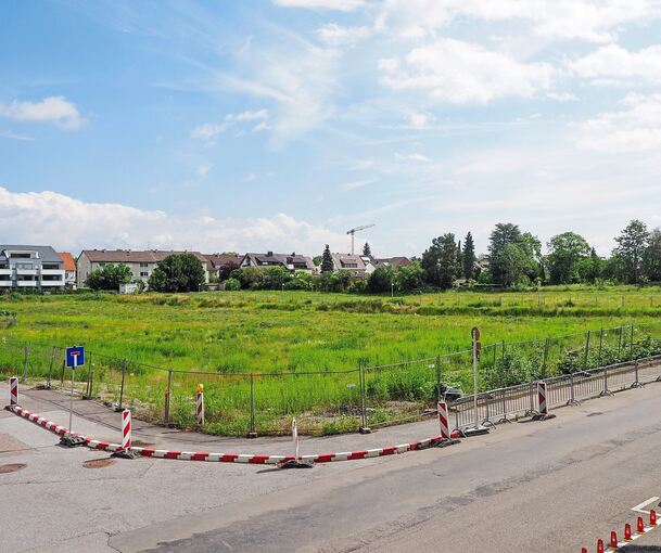 Auf dieser Fläche direkt neben der Grundschule könnten ab Mitte 2025 die ersten Wohnungen gebaut werden.