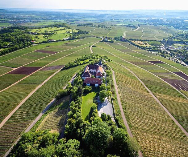Die Weinlandschaft am Michaelsberg am Rande des Strombergs von oben.