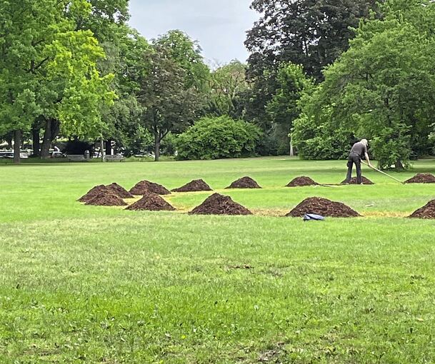 Das hat es mit den XXL-Maulwurfshaufen in Ludwigsburg auf sich