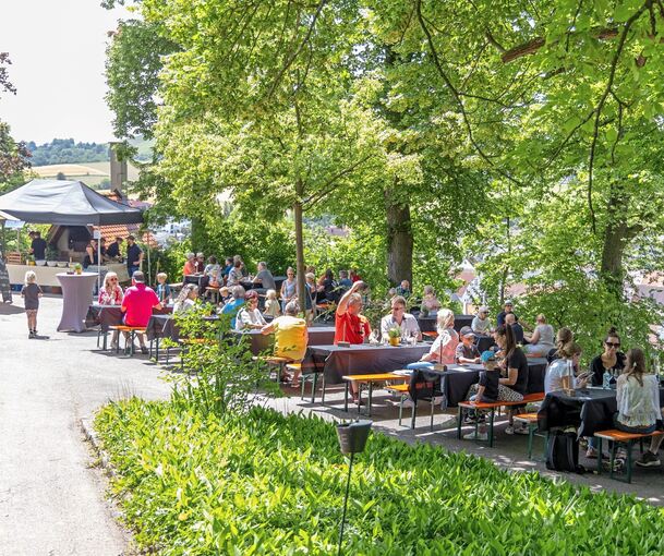 Eine von mehreren Ausgangspositionen für die Touren: Biergarnituren am Hohenbeilstein.