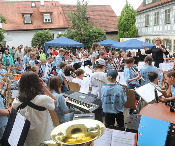 Ein Blick zurück auf das Jahr 2024: die Musikschule Besigheim und die Stadtkapelle feiern gemeinsam das Steinhausfest.