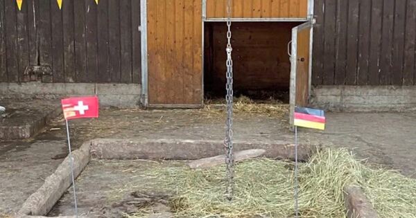 Clear tip from Oracle Steffi for the Swiss party - Germany