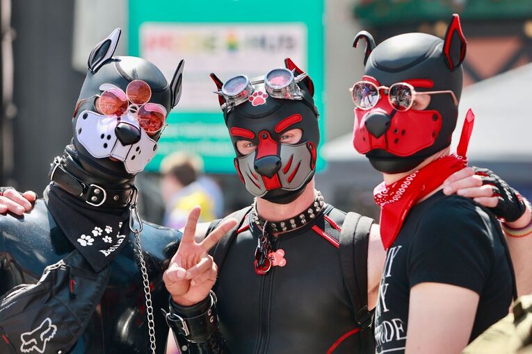 Pup Play Pup Play