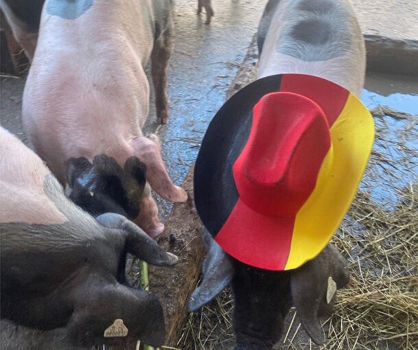 Toni Kroos ist (tor-)hungrig, leider auf der falschen Seite. Foto: Schulbauernhof Toni Kroos ist (tor-)hungrig, leider auf der falschen Seite.