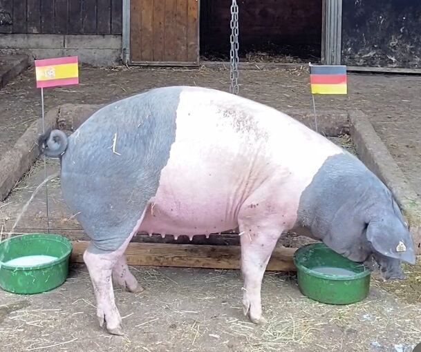 Vorne rein, hinten offen – was will uns Steffi damit andeuten?