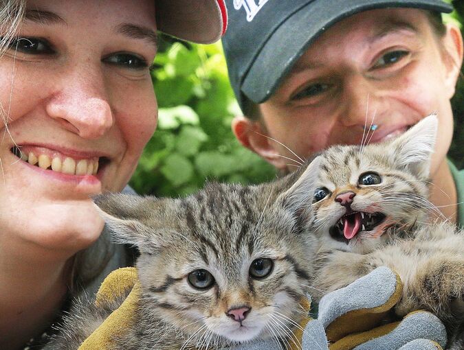 Paulina Neubacher (links) und Lara Giebler mit zwei der sechs Wildkätzchen nach der Impfung. Die Jungtiere haben sich bei der Prozedur heftig gewehrt.