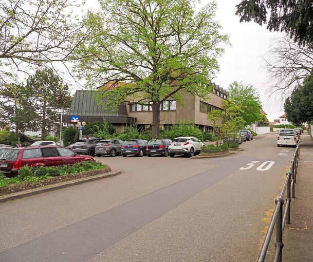 Die Zukunft der Eiche bleibt weiter ungewiss.