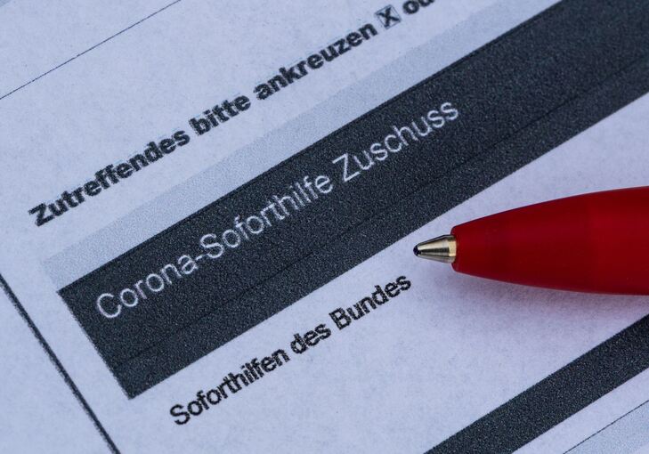 Corona-Soforthilfen werden in Schleswig-Holstein überprüft Corona-Soforthilfen werden in Schleswig-Holstein überprüft
