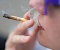 Auch im Kreis Ludwigsburg steigen die Zahlen der Cannabis-Abhängigen. Auch im Kreis Ludwigsburg steigen die Zahlen der Cannabis-Abhängigen.
