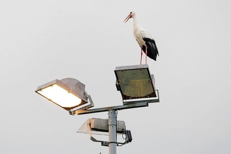 Weitere Eindrücke...