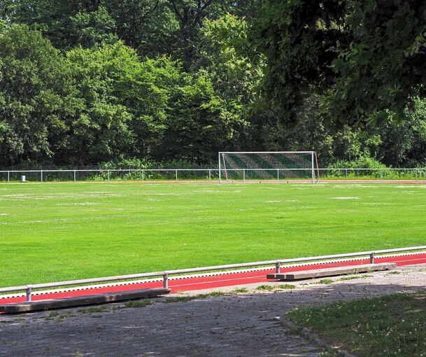 Der Rasenplatz im Affalterbacher Sportzentrum ist von einer Pilzkrankheit befallen und wird von einer Spezialfirma wieder auf Vordermann gebracht. Bis der Rasen wieder vollständig regeneriert ist, darf er nicht belastet werden.