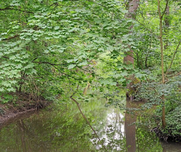 Das Landratsamt hat verfügt, dass aus Flüssen und Bächen kein Wasser mehr entnommen werden darf. Das Landratsamt hat verfügt, dass aus Flüssen und Bächen kein Wasser mehr entnommen werden darf.