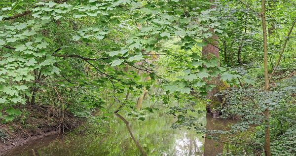 Das Landratsamt hat verfügt, dass aus Flüssen und Bächen kein Wasser mehr entnommen werden darf.
