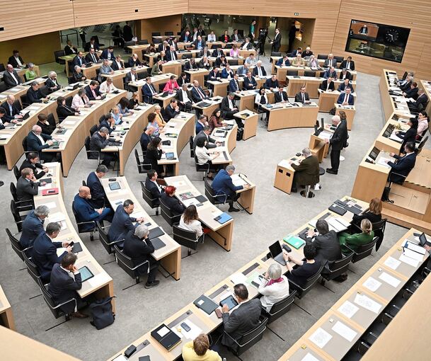 Landtag in Stuttgart: Drei Grüne und zwei Schwarze aus dem Kreis Ludwigsburg sind hier vertreten.