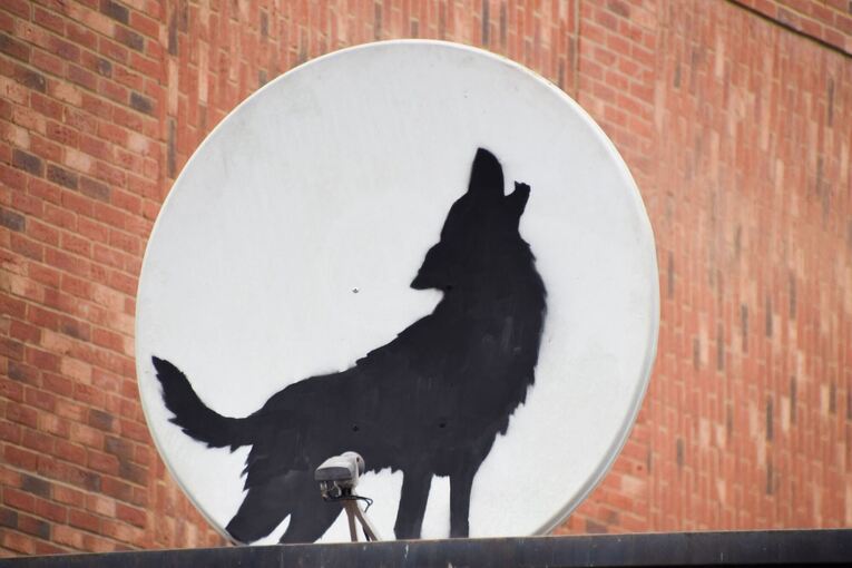 Banksy enthüllt neues Kunstwerk