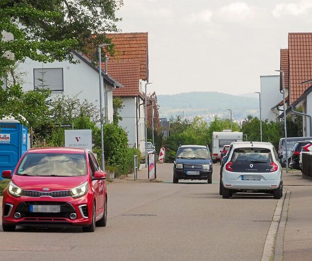 In der Forststraße in Ingersheim wird oft zu schnell gefahren, weshalb hier immer wieder geblitzt werden muss.
