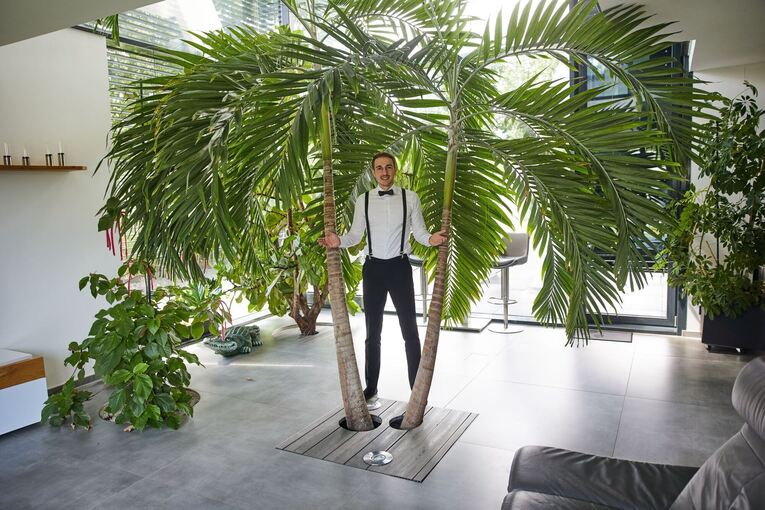 Immobilien-Influencer «Mr. Unreal Estate»