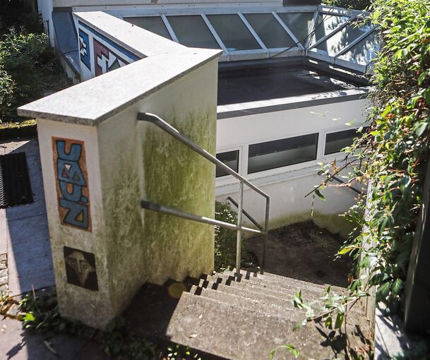 An der Mauer bildete sich eine Algenschicht.