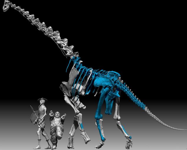 Neuer Langhals-Dinosaurier in Spanien entdeckt
