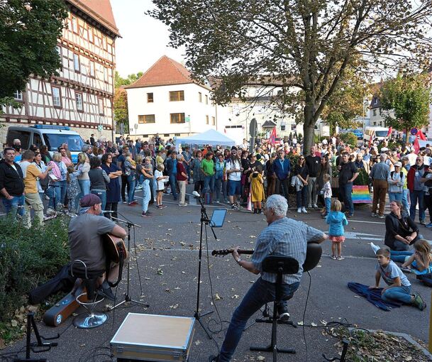 Mit Musik, Fahnen und Plakaten oder einfach mit ihrer Gegenwart. demonstrierten bis zu 250 Menschen gegen die AfD-Veranstaltung.