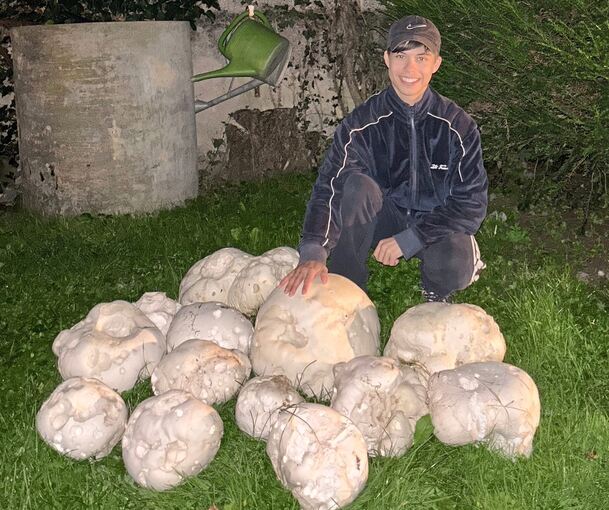Nico Kazenwadel mit den Riesenpilzen. Foto: privat Nico Kazenwadel mit den Riesenpilzen.