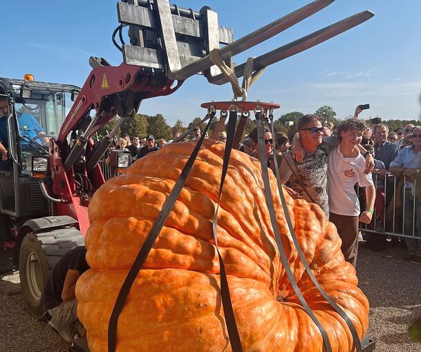 Die Kürbisse werden angegurtet auf die Waage gehievt.