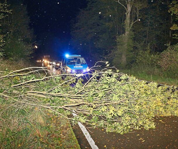 Kein Durchkommen auf der Kreisstraße zwischen Ölmühle und Golfplatz Nippenburg,